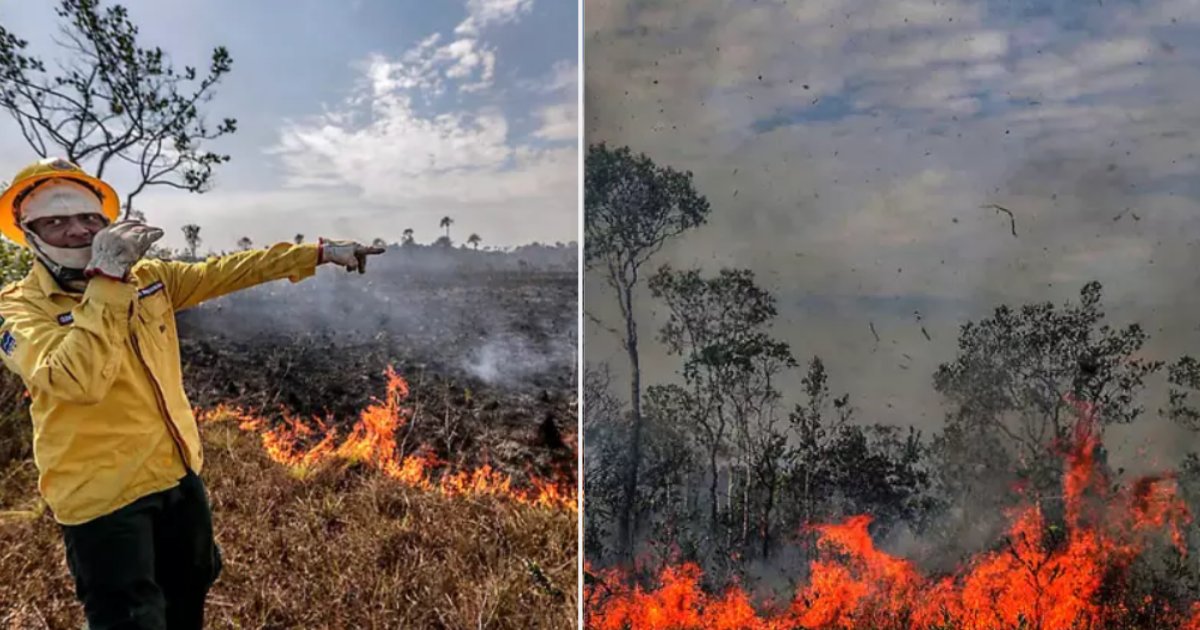 y2 11.png?resize=412,275 - Amazon Wildfire May Be Suffocating Children of Brazil Due to Heavy Smoke