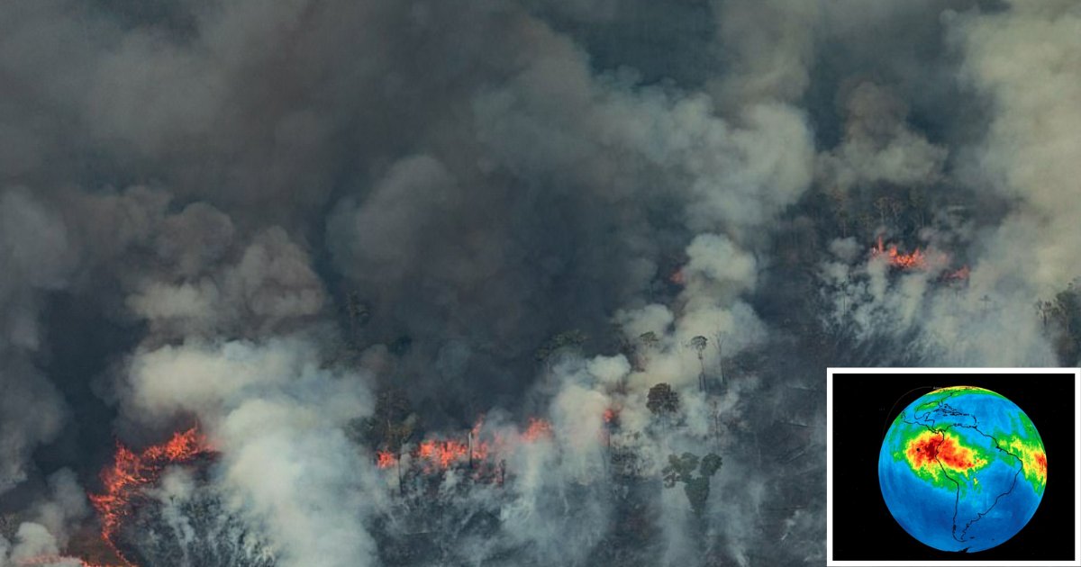 y3 8.png?resize=412,275 - Amazon Fires Spotted on NASA Photos With the Release of Carbon Monoxide in the Atmosphere