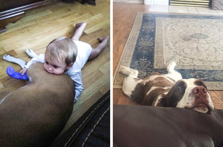 18 Exemplos que mostram que ter um cachorro e um bebê é quase igual