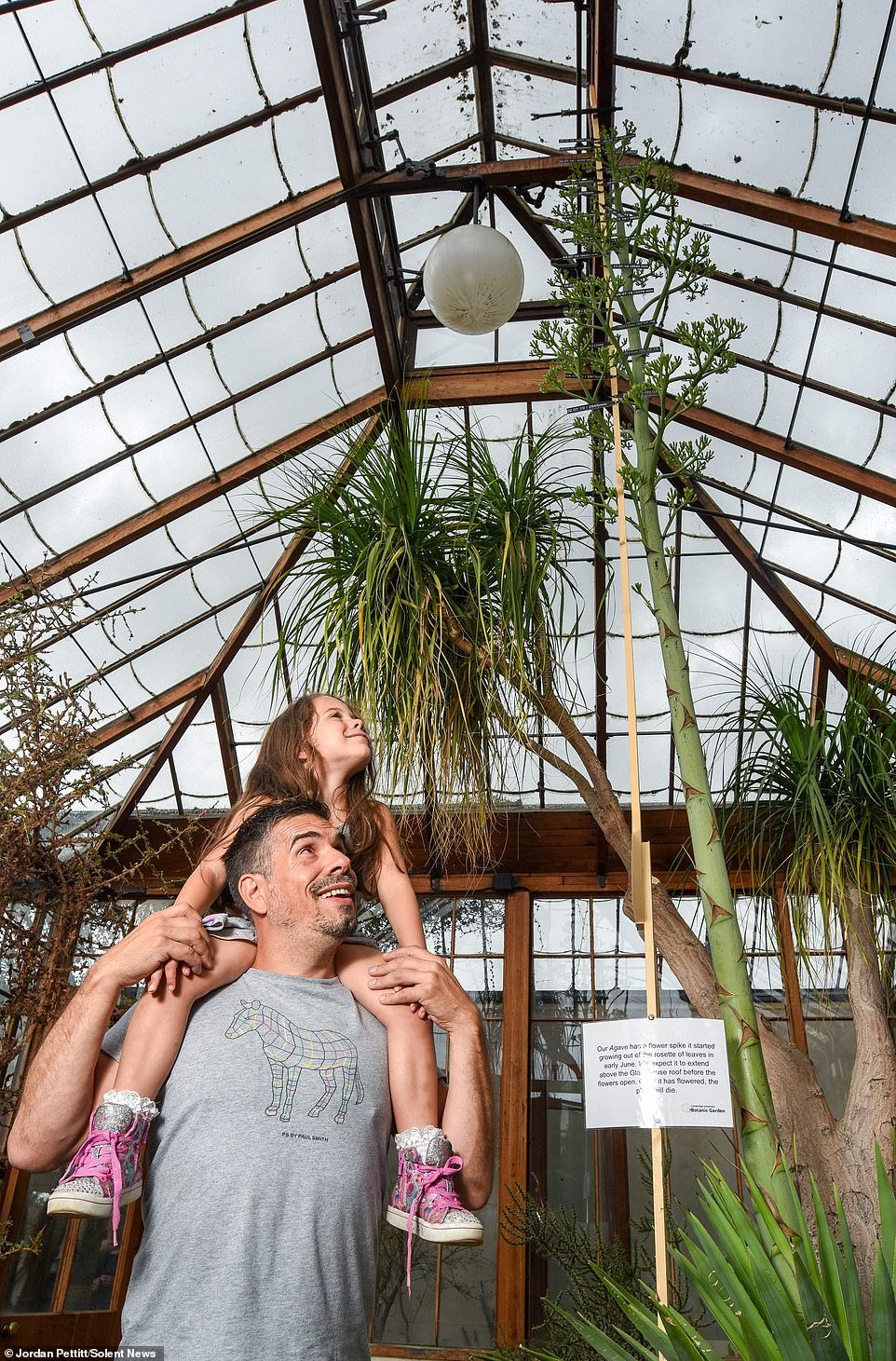 George Giminez du Mexique et sa fille Maya ont déclaré avoir des agaves dans le nord et l'ouest de leur pays