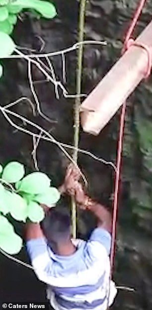 Mr Solanki feared that the snake would be killed by scared villagers in Udaipur, Rajasthan, if it wasn