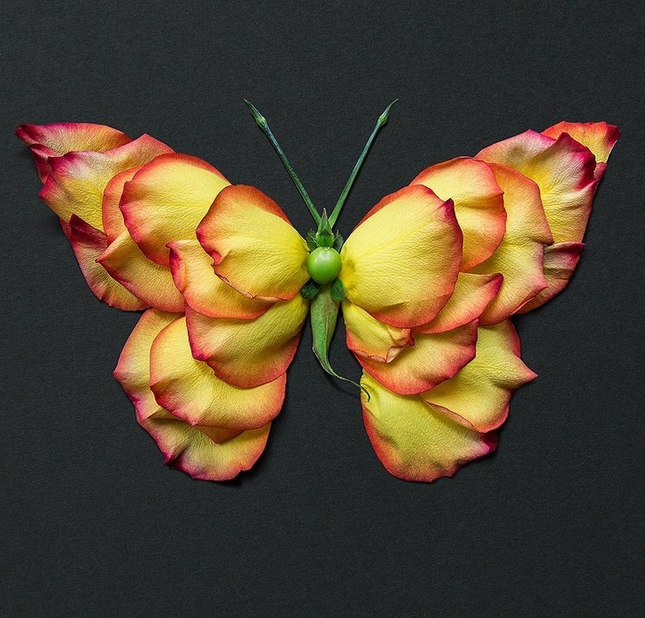 An Artist Turns Flowers Into Animal Sculptures, and the Results Are Like Living Miracles
