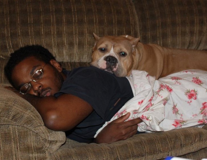 24 Dogs Who Love Their Humans So Much, Their Gazes Are Worth a Million Words