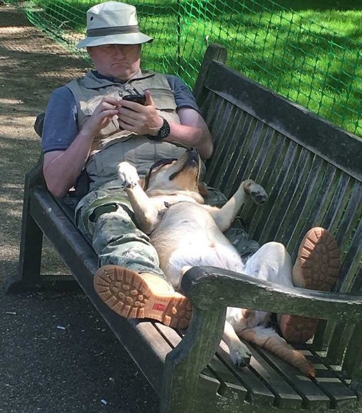 24 Dogs Who Love Their Humans So Much, Their Gazes Are Worth a Million Words