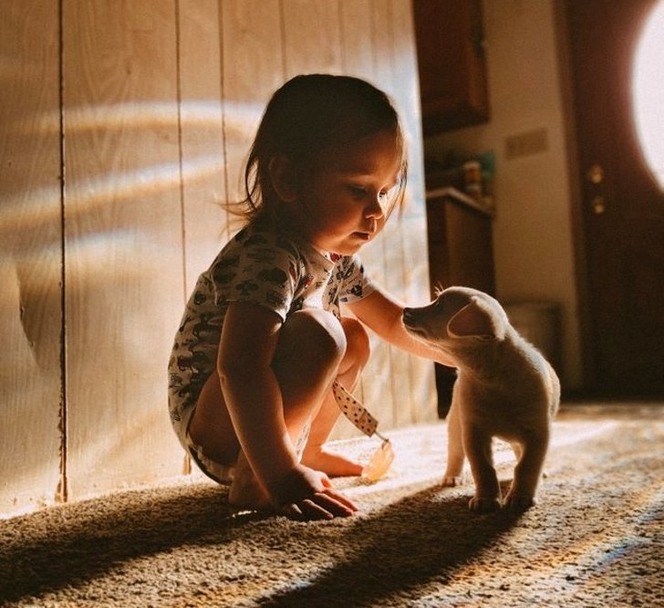 24 Dogs Who Love Their Humans So Much, Their Gazes Are Worth a Million Words