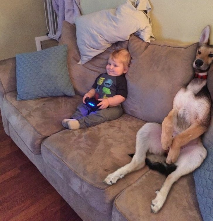 21 Animals That Behave Just Like People, and It’s So Funny It Hurts