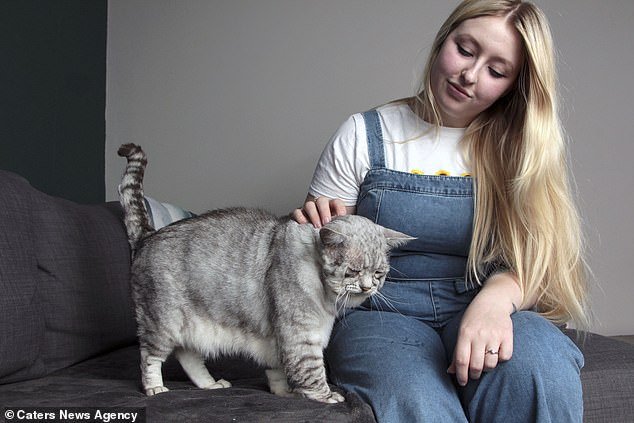 Cat Toby (pictured with owner Georgina Price) is a rescue cat from Gloucestershire with a rare skin condition, Ehlers-Danlos syndrome