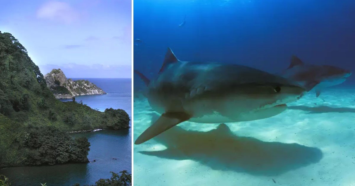 a 6.jpg?resize=1200,630 - Un trésor de plus d'un milliard d'euros a été enterré dans une île gardée par des requins