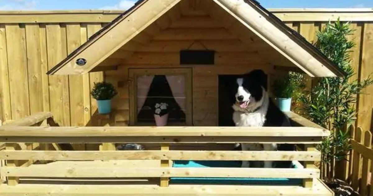 a 81.jpg?resize=1200,630 - Un homme a construit une adorable petite maison pour sa chienne et elle l'adore