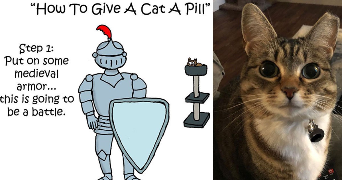 a guy shared 10 step guide of how to make a cat take a pill and it is hilarious.jpg?resize=1200,630 - A Man Shared 10-Step Guide On How To Make A Cat Take A Pill And It's Hilarious