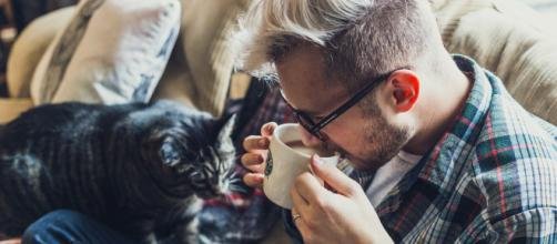 chat.jpg?resize=412,275 - Une étude démontre que pour les chats, les humains sont comme leurs parents