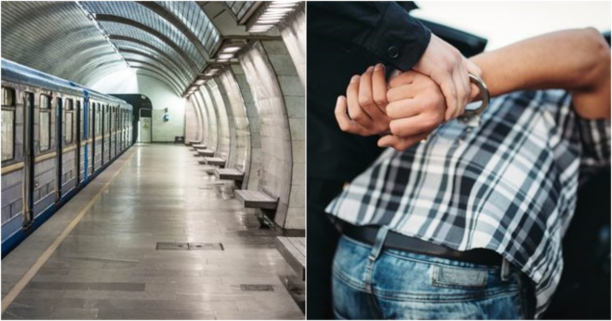 collage 110.png?resize=1200,630 - '지하철'에서 OO에 '엉덩이'를 들이밀다가 체포된 남성의 정체.jpg