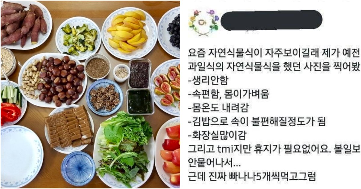 collage 53.png?resize=1200,630 - 네티즌 사이에서 화제가 된 '채식' 후 몸의 변화.jpg