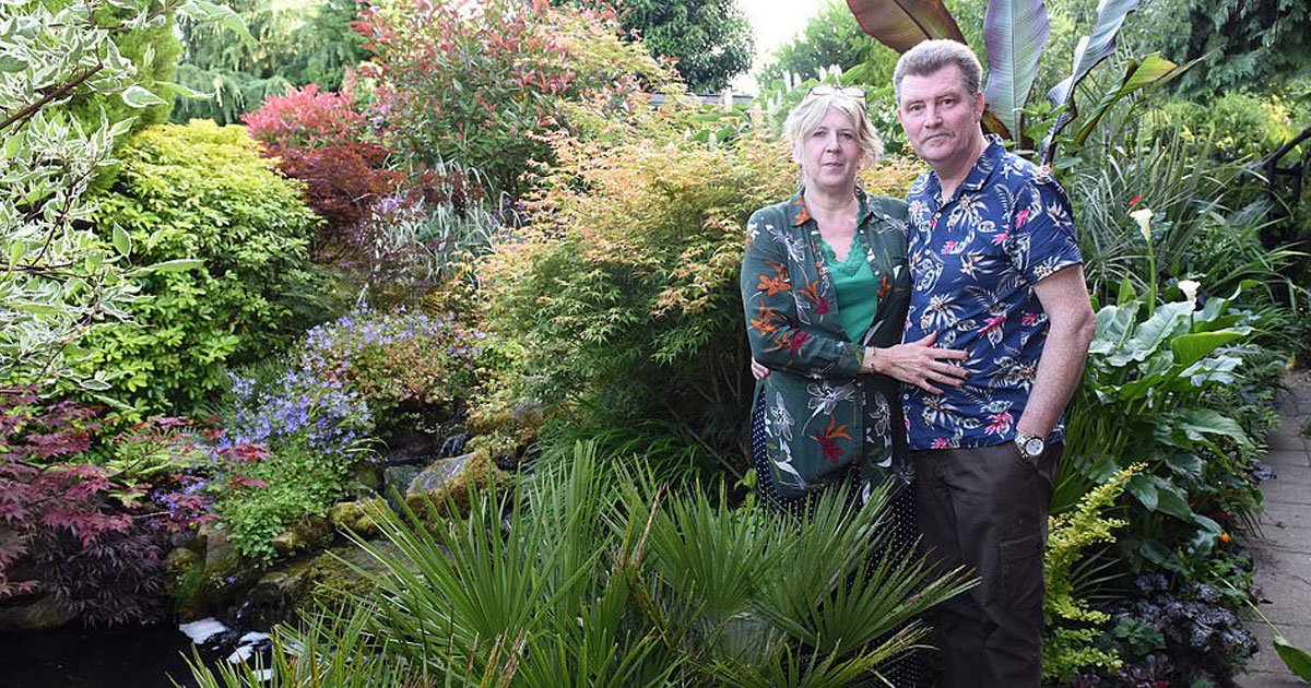 couple tropical garden.jpg?resize=1200,630 - Un couple a transformé son jardin ennuyeux en un jardin tropical de rêve