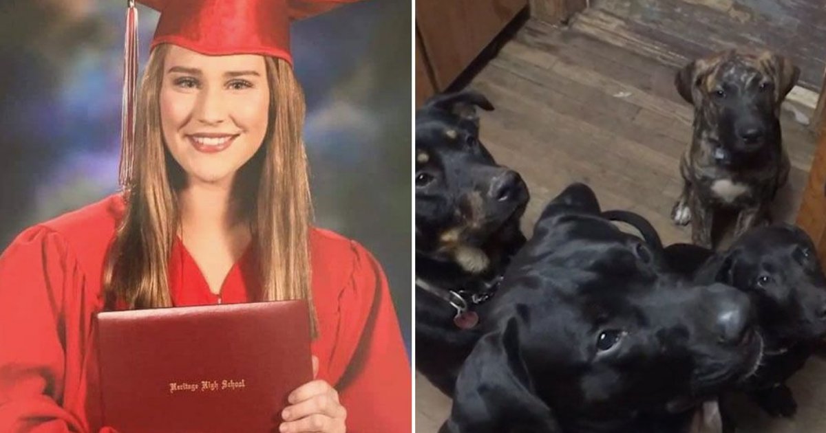 d1 3.png?resize=412,275 - After Struggling For 10 Days Teen Passed Away Due To Attack by A Pack of Dogs