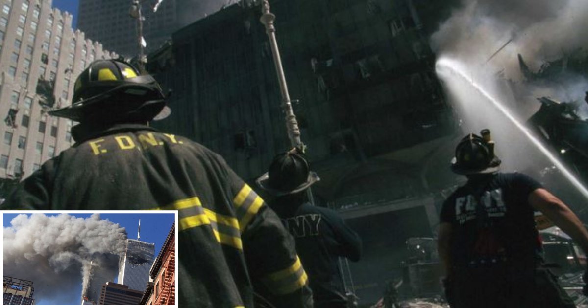 d1 6.png?resize=412,275 - America and the World Will Never Forget 9/11