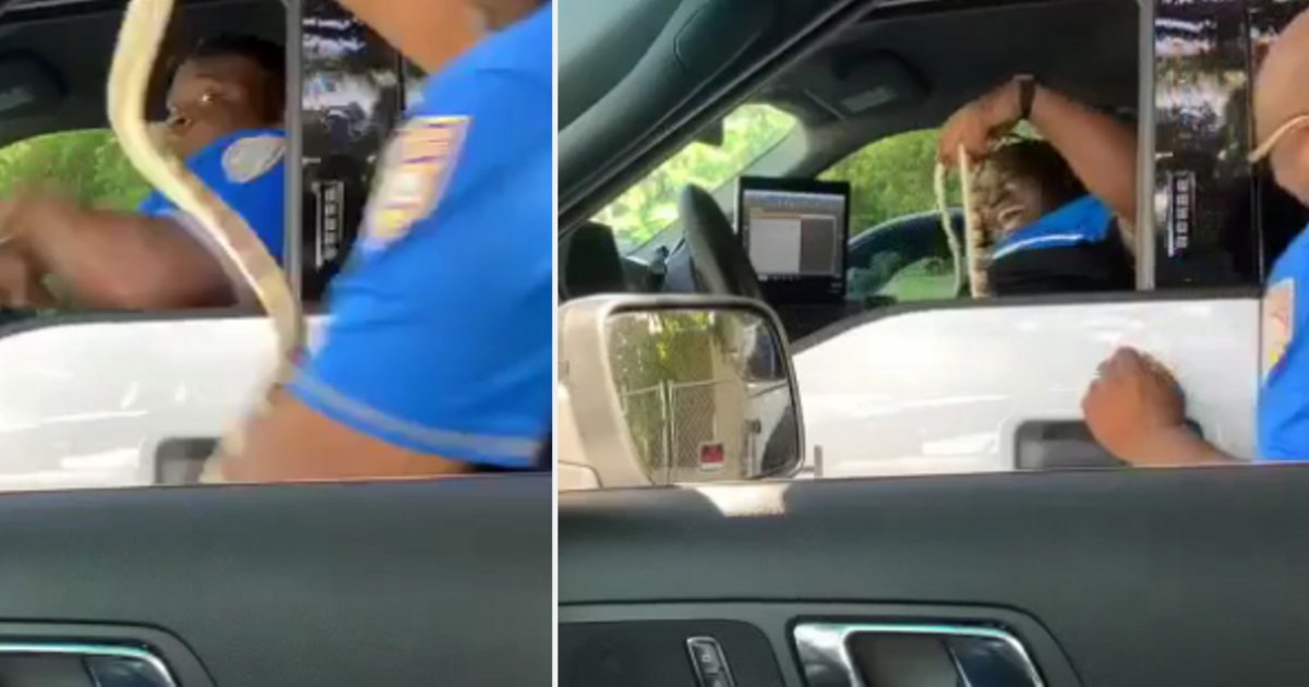 d2 12.png?resize=412,275 - Miami Beach Police Officer Pulled Hilarious Prank On Partner