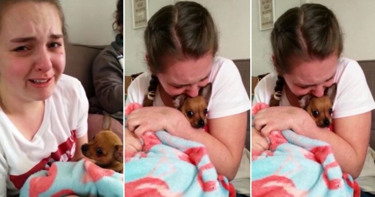 d2 8.png?resize=412,275 - An Emotional Moment Shared by The Support Dog and A Teenager