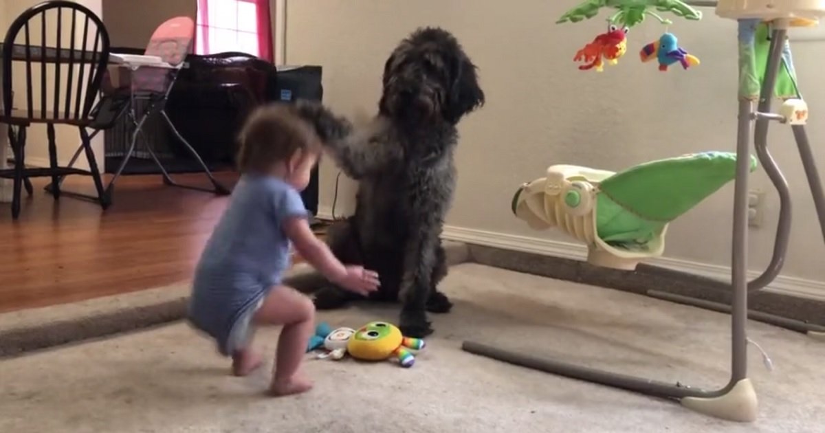 d3 5.jpg?resize=1200,630 - Ce chien a appris à un bébé comment s'asseoir et ne plus bouger