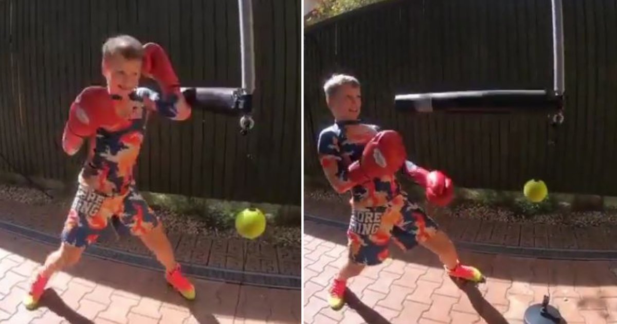 d3 6.png?resize=412,275 - Kid Showcased His Fantastic Boxing Skills