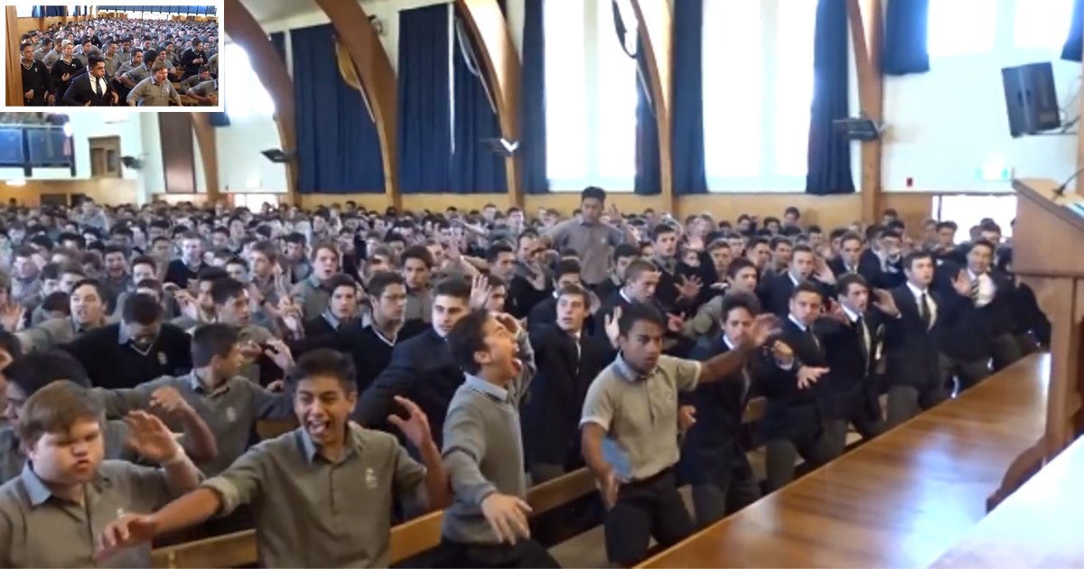 d3 8.png?resize=1200,630 - A Farewell ‘Haka’ Chant For The Guidance Counsellor