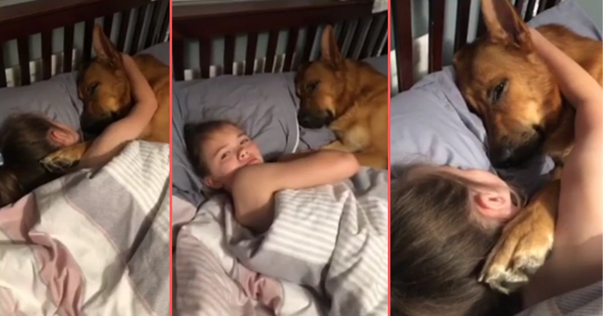 d6 11.png?resize=1200,630 - Adorable vidéo : Une petite fille préfère dormir avec son chien que d'aller à son cours de gymnastique