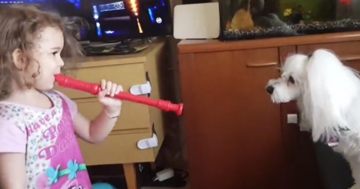 d6 4.png?resize=412,275 - Little Girl and Her Pup Put On A Quite A Performance