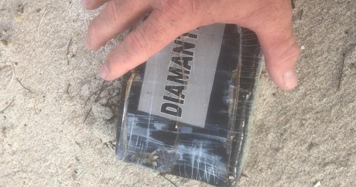 dd.jpg?resize=1200,630 - 16 kg de cocaïne se sont échoués sur une plage de Floride après l'ouragan Dorian
