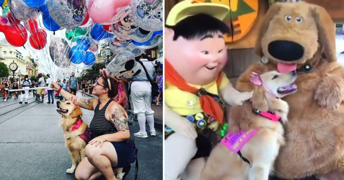 dog disney fan.jpg?resize=412,275 - This Golden Retriever Is The Biggest Disney Fan As She Loves Meeting Her Favourite Disney Characters