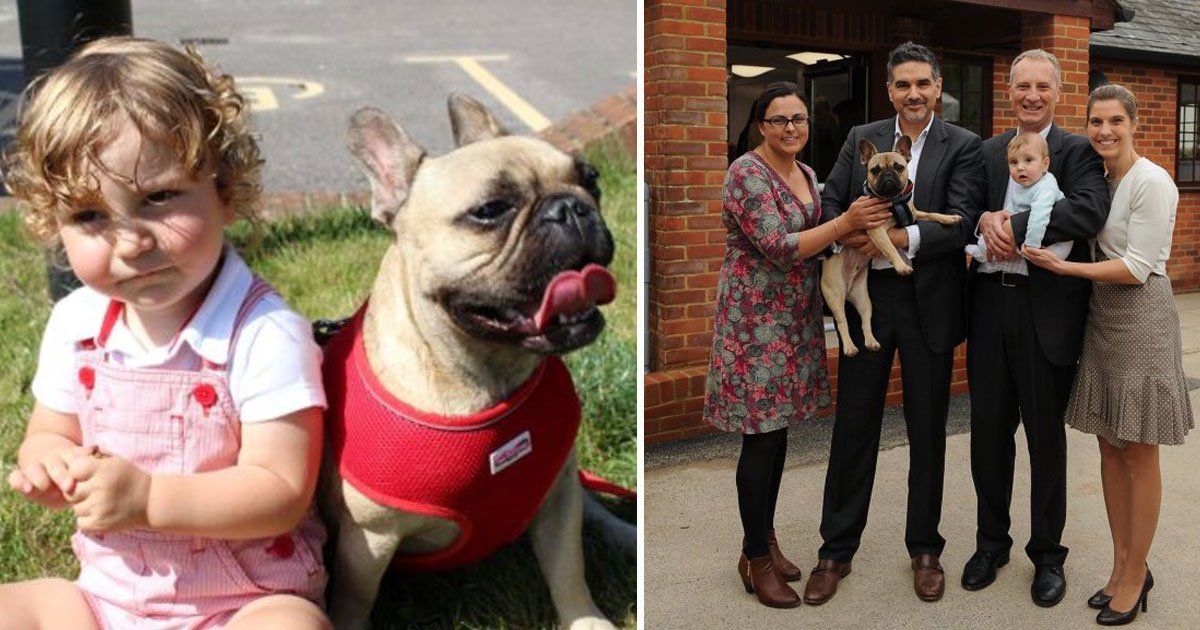 dog little boy.jpg?resize=412,275 - Vet Parents Saved A Doctor’s Pet Dog For Saving Their Baby’s Life