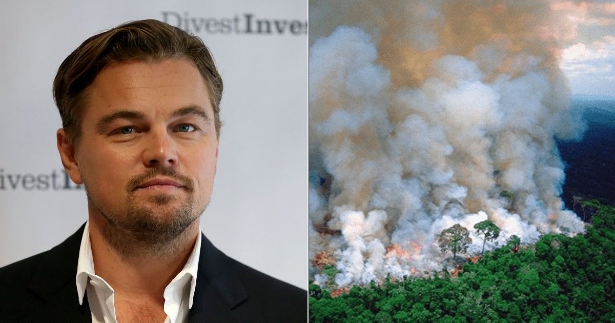 fsdffsdf.jpg?resize=412,275 - Leonardo Dicaprio  Requested For A Donation Of $5 Million To Save Amazon Forest From Wildfire