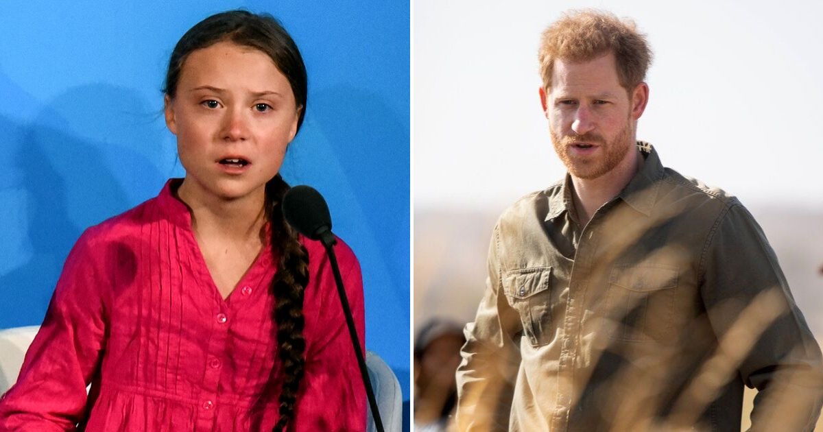 harry3 1.png?resize=412,275 - Prince Harry Showed Support To Greta Thunberg's Fight Against Climate Change