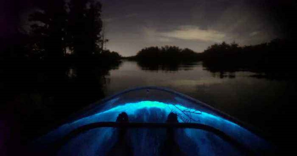 k3 1.jpg?resize=412,275 - Kayakers Paddle Through A Stunning Vista Of Glowing Blue Water