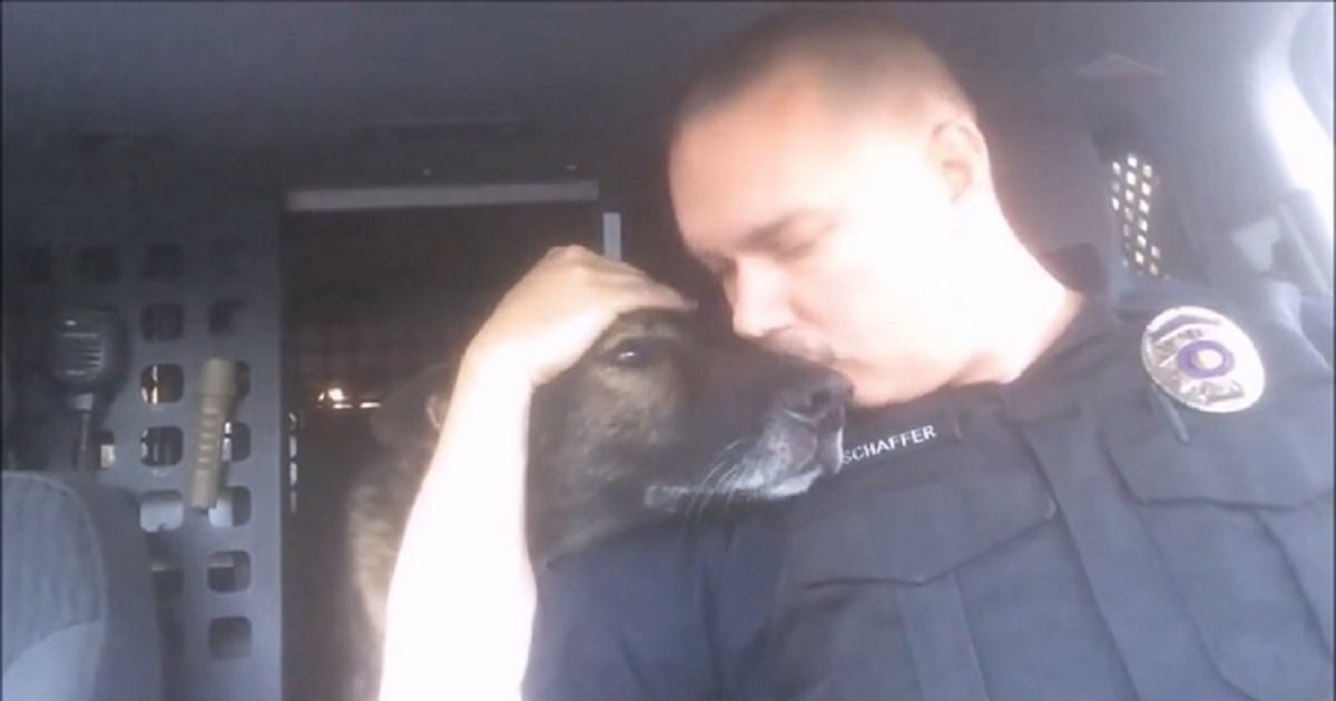k3.jpg?resize=1200,630 - Police Officer Made An Emotional Final Radio Call And Said Goodbye To His Beloved K-9 Partner