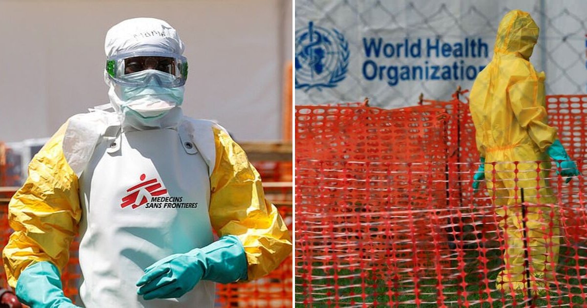 report5.png?resize=1200,630 - Former World Health Organization Chef Warned of Possibility of Flu-Like Illness Outbreak That Could Potentially Circulate The World In Less Than Two Days