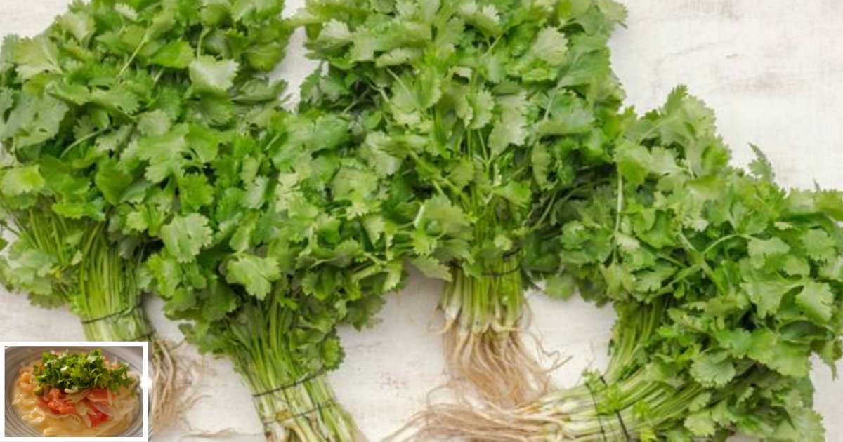 s2 13.png?resize=1200,630 - A Facebook Page Saying ‘I Hate Coriander’ Has More Than 220,000 Members