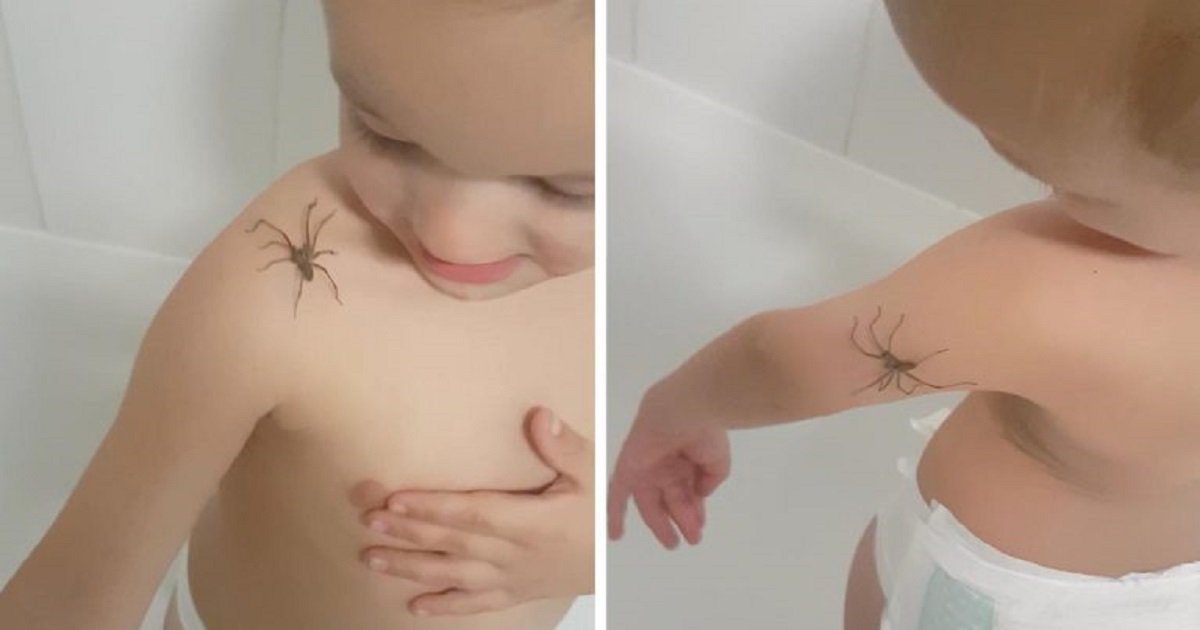 s3 7.jpg?resize=412,275 - Vidéo : Un petit garçon de 3 ans s'amuse dans son bain avec une araignée qui lui court dessus