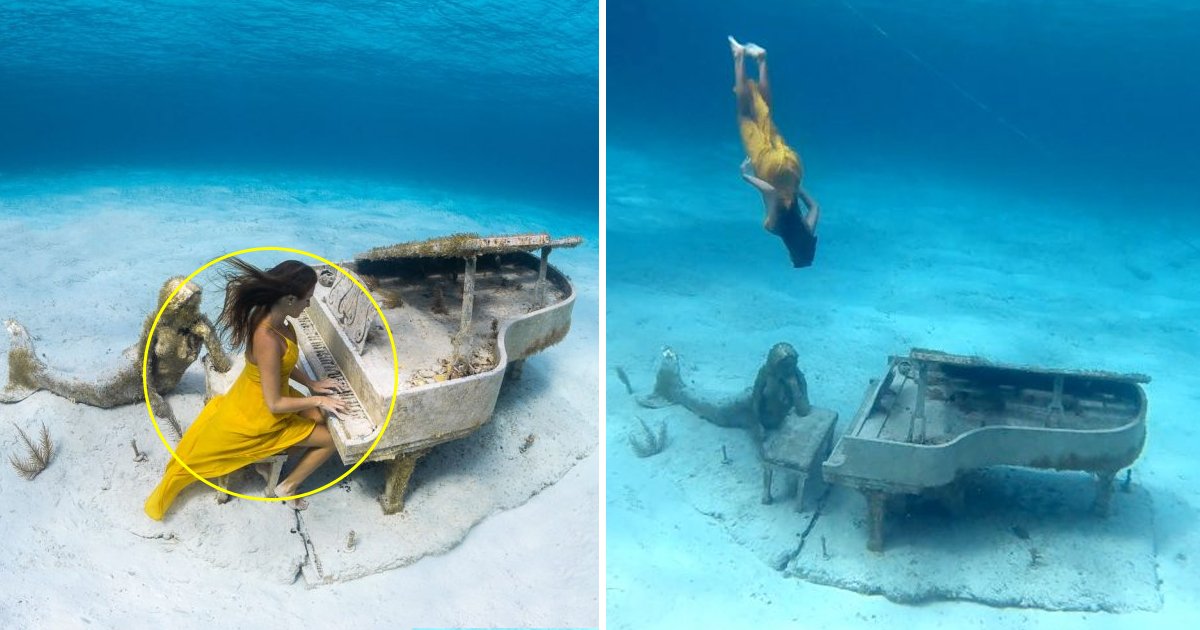 sa 1.jpg?resize=412,275 - Mesmerizing Video Of A Deep Sea Diver Playing Piano Under 20 Ft Down The Ocean