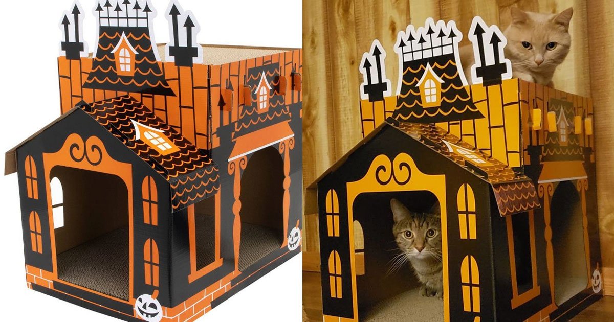 target is now selling mini haunted houses for your cats and it is perfect for halloween.jpg?resize=1200,630 - This Mini Haunted House For Your Cat Is Perfect For Upcoming Halloween