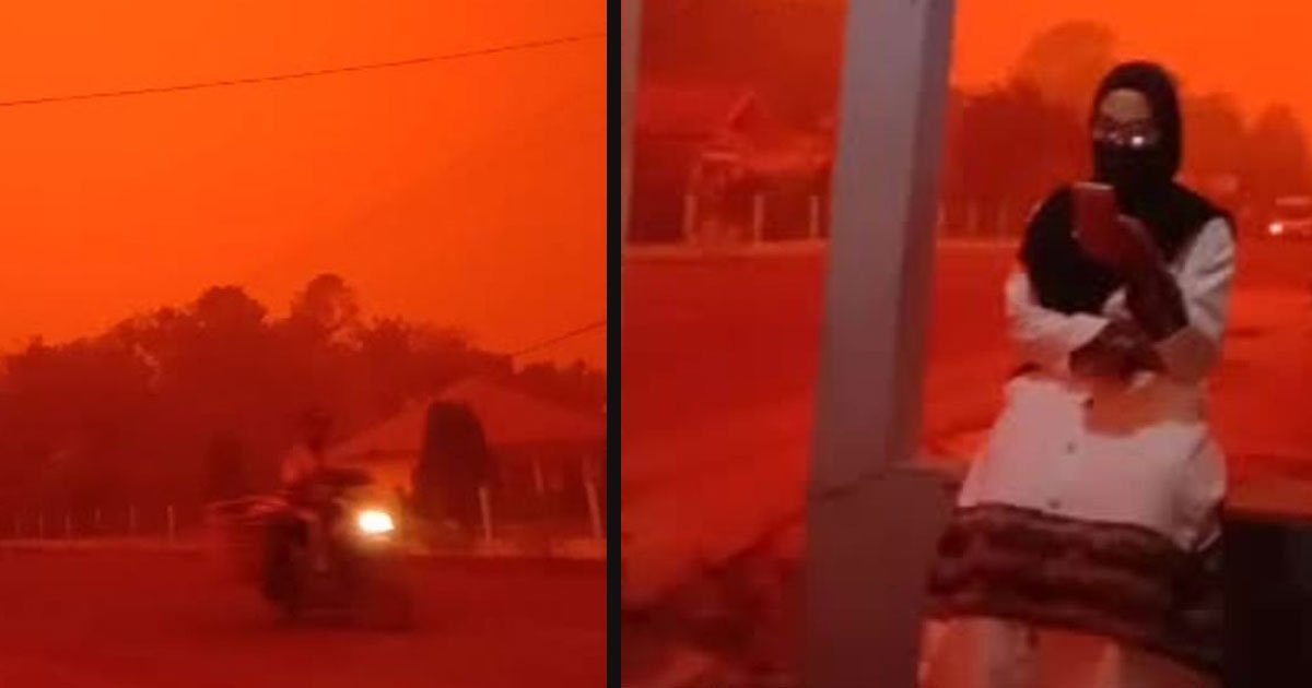 untitled 1 106.jpg?resize=1200,630 - Un ciel rouge a recouvert des parties de l'Indonésie en raison des feux de forêt