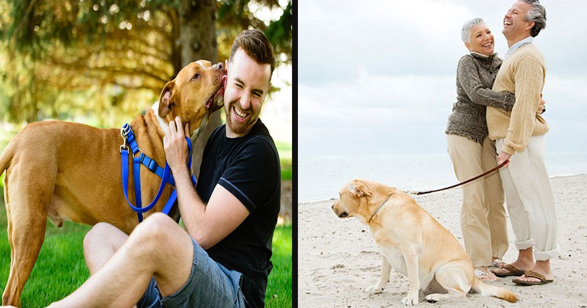 untitled 1 14.jpg?resize=412,275 - Over 70% Of Dog Owners Admitted They Prefer Spending Time With Their Pets Than With People