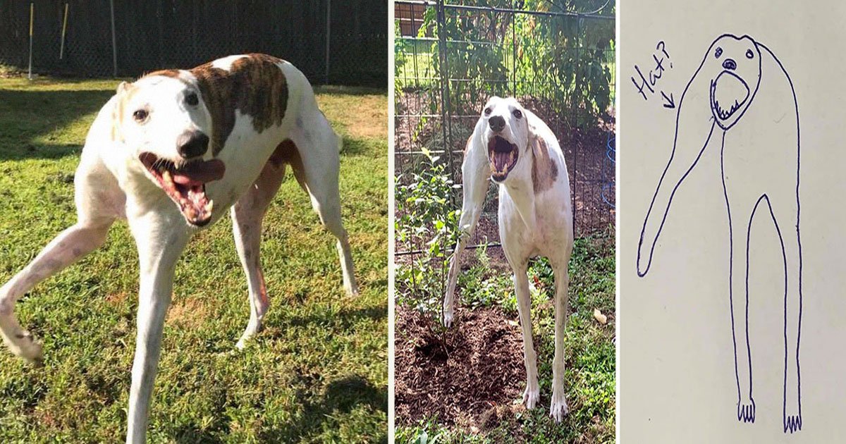 untitled 1 31.jpg?resize=412,275 - An Artist Created Silly Doodles Of His Dogs For Fun And Received Attention That He Never Got With His Serious Artworks