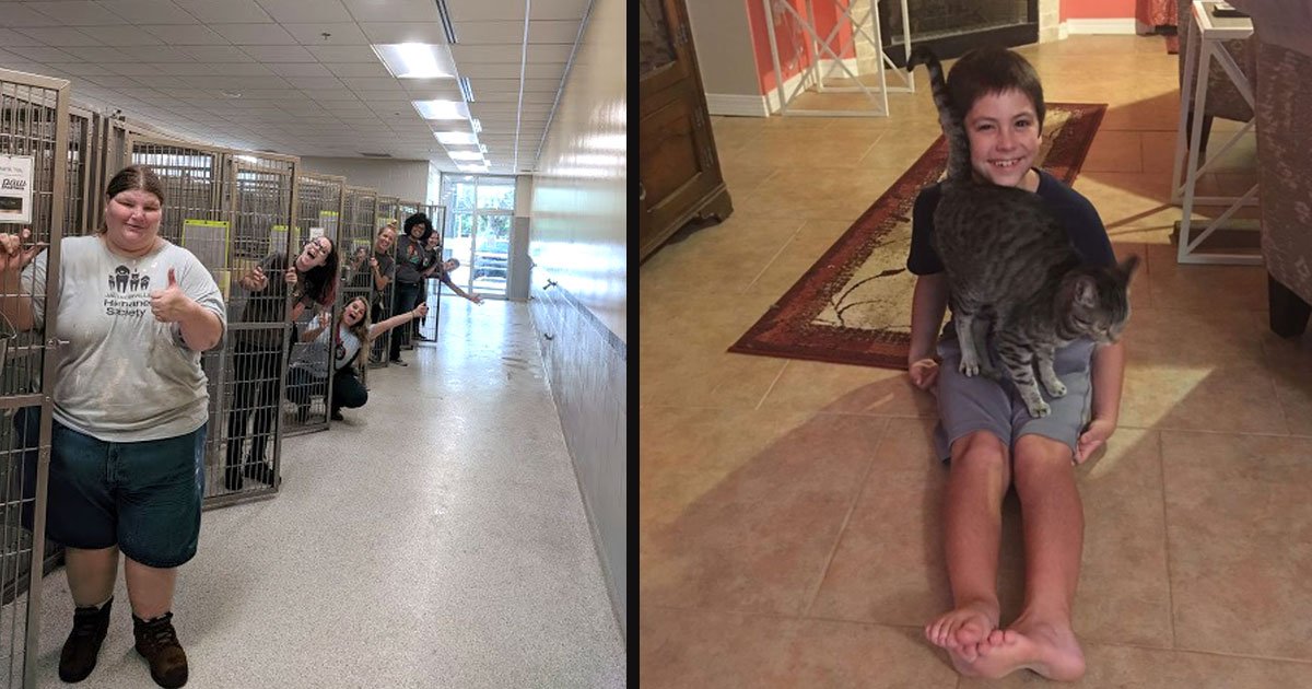 untitled 1 39.jpg?resize=1200,630 - Un refuge animalier en Floride a trouvé des foyers d'accueil pour 250 chiens avant l'arrivée de l'ouragan Dorian