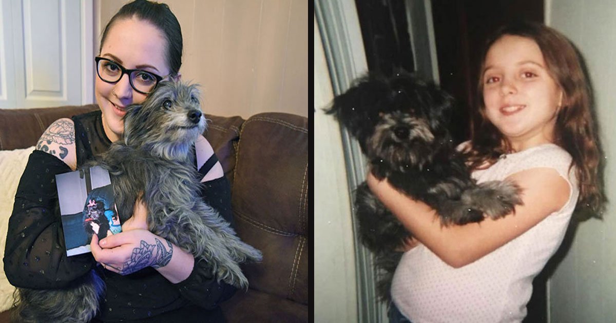 untitled 1 74.jpg?resize=412,275 - Woman Adopted A Senior Dog That Looked Like Her Childhood Puppy Then Realized It’s The Same Dog
