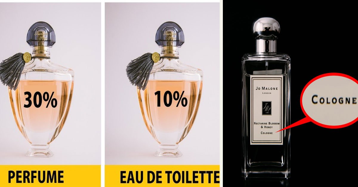 untitled 1 91.jpg?resize=412,232 - The Difference Between Perfume, Cologne, And Eau De Toilette