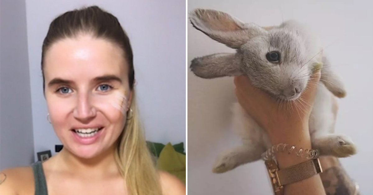 untitled design 28.png?resize=1200,630 - La militante qui sauva des animaux, se fait faussement accuser d'avoir tué 90 autres lapins