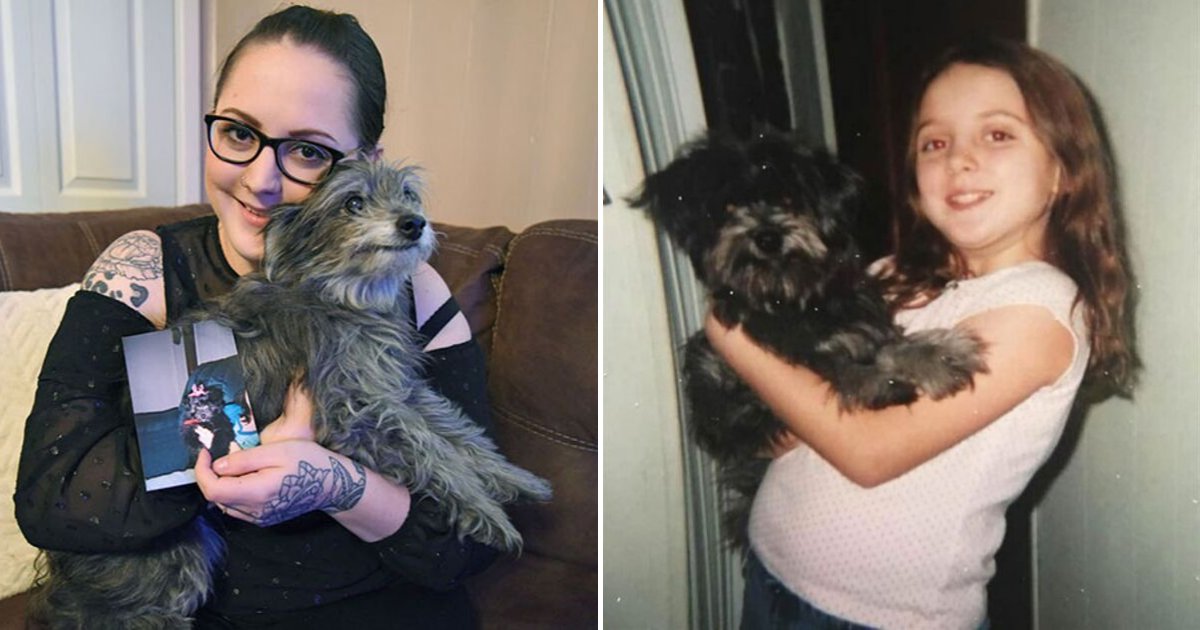 untitled design 52.png?resize=1200,630 - Woman Realized She Adopted The Same Dog She Had As A Child