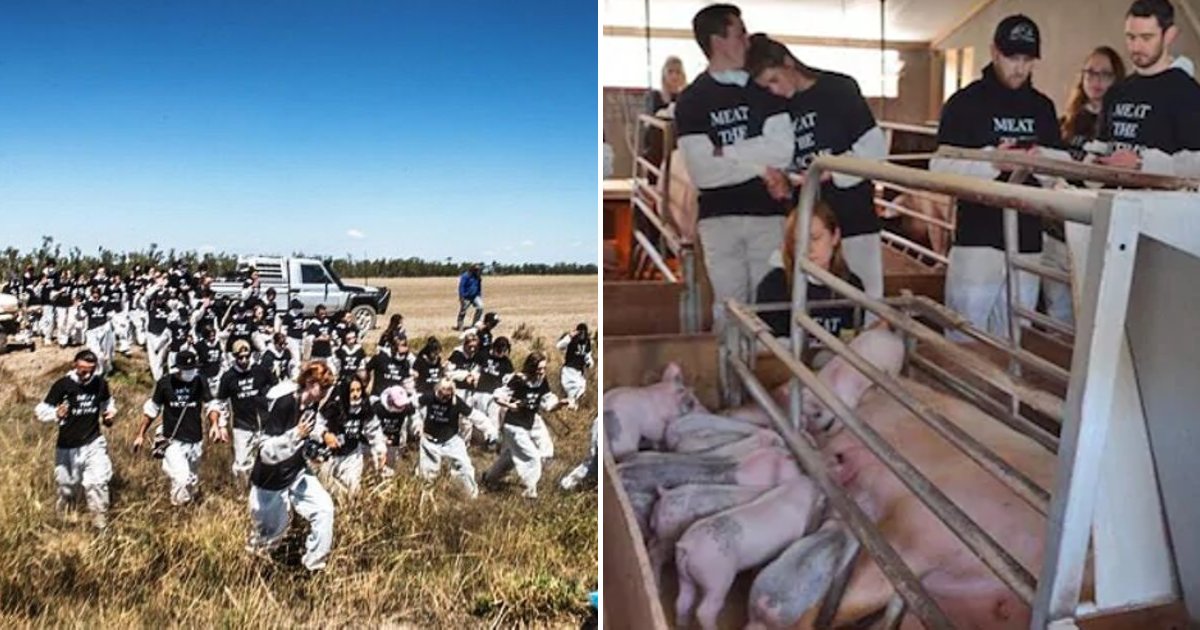 vegans.png?resize=1200,630 - ‘Vegan Terrorists’ Who Raid Farms Could Soon Face Up To FIVE Years In Prison