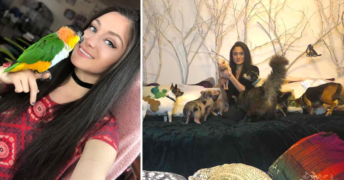 woman has 90 pets.jpg?resize=412,275 - Woman Shares Her Home With Her 90 Pets And Plans To Turn Her Home Into A Sanctuary