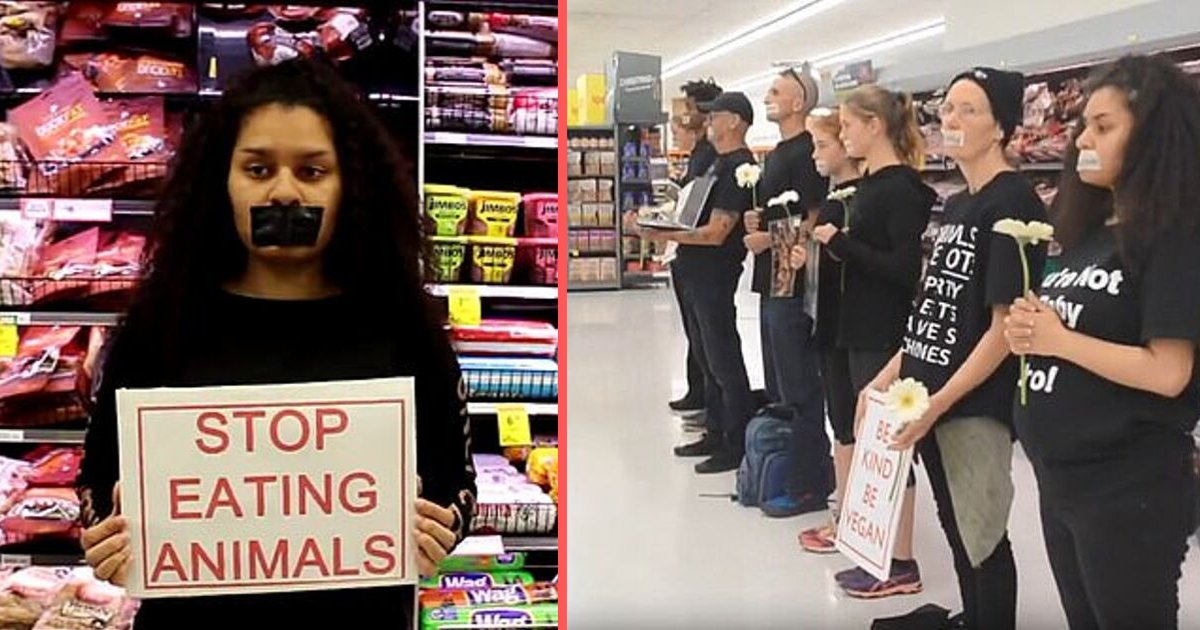 y5 15.png?resize=1200,630 - Vegan Protestors Blocked Meat Aisle in a Supermarket as They Sang “Give Life a Chance”